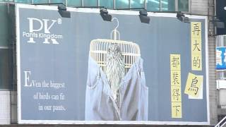 再大的鳥都裝得下1040609