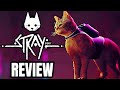 Stray review  the final verdict