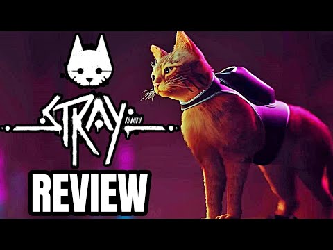 STRAY Review - The Final Verdict