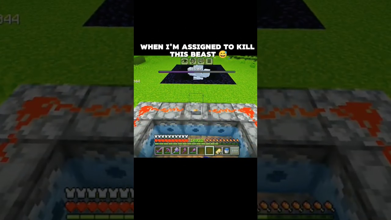 WHEN IM ASSIGNED TO KILL THE WITHER😅 