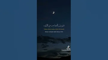 ومن يأمنك يا دنيا الدواهي تدوسين المصاحب في التراب 