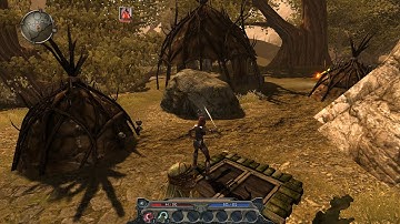 Divinity Sin 2: Developer