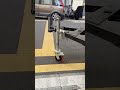 Trailer Jack Jockey Wheel  #camper #caravan #exportbusiness #trailerjack #trailerparts #trailer