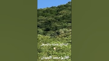 فجرية رائعة لأجمل ترتيل للقارئ #محمد_اللحيدان 1445 #اكسبلور #nature #explore #beautiful #love