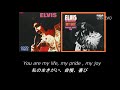 (歌詞対訳)  My Boy - Elvis Presley (1974)