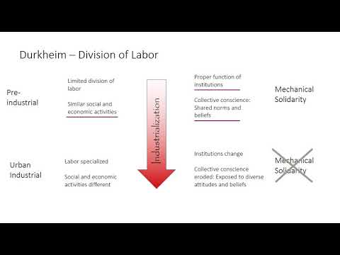 Video: Vad är teorin om arbetsdelning?