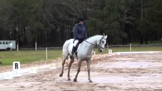 Maggie Baker & Blue Stockings Red Hills International 2014 Horse Trials & Cic
