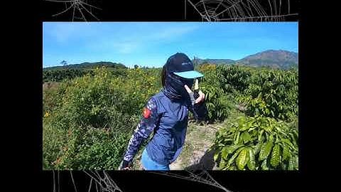 Câu Cá Lóc Ao Hoang #shorts