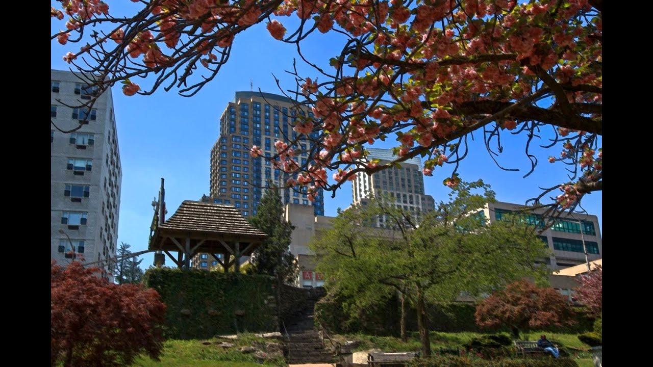 For Sale in Downtown White Plains 10 City Place 16A 10601 YouTube