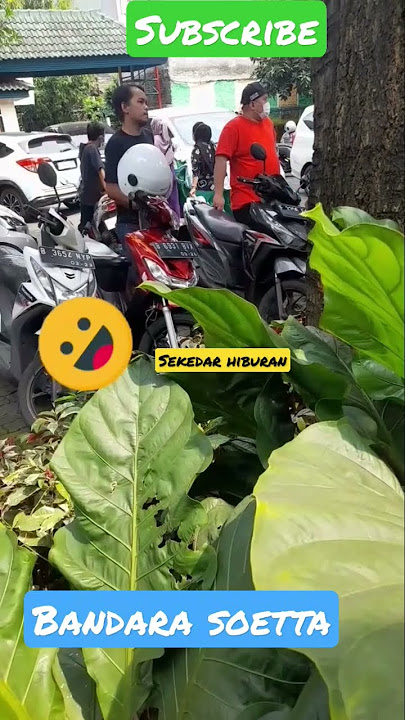 ramai ramai#shorts