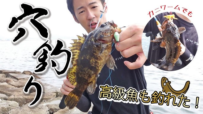 この魚どうやって釣るの アイゴ Youtube
