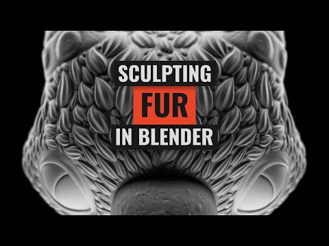 Sculpting Fur in