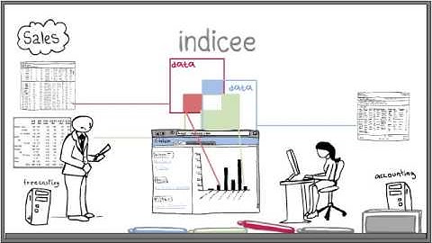 Indicee: Business & Sales Reporting Made Easy!