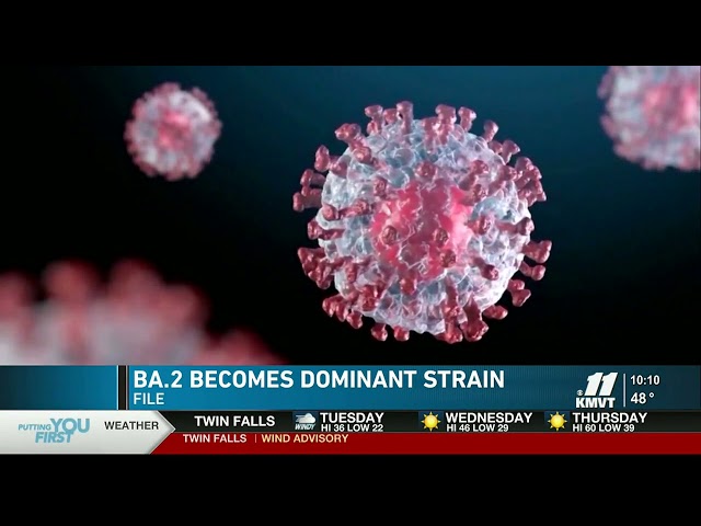 Patty Olinger on April 5, 2022 CBS Twin Falls, ID