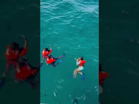 Snorkelling with fishies