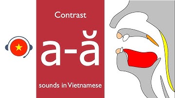 🇻🇳 Vietnamese: a - ă sound. Learn sound system in Vietnamese. Vietsound.