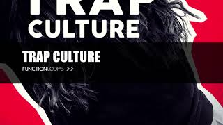 TRAP CULTURE | Trap Construction Kits, Dark & Glitched Melody Loops, Drums, MIDI Files & Stems