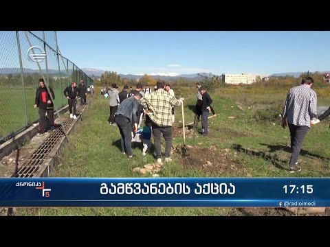 ქუთაისის ტორპედოს აკადემიის ტერიტორიაზე გამწვანების აქცია მოეწყო