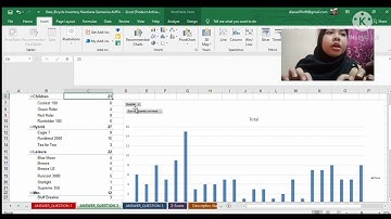 FIN534: LAB ASSIGNMENT 1 (DATA BICYCLE INVENTORY)