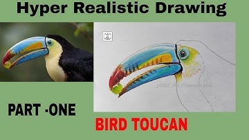 Toucan Bird Drawing ( Part-One) How to draw Realistic Toucan Bird with color Pencils, Tutorial