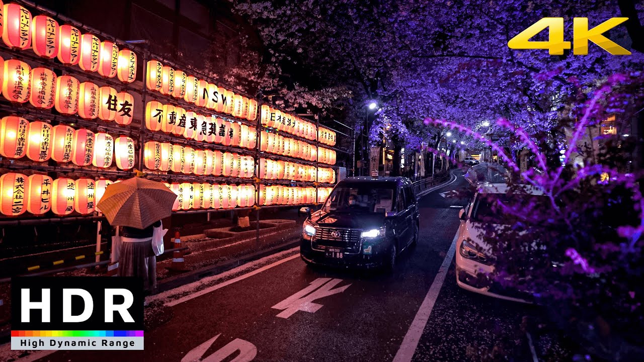 【4K HDR】Tokyo Cherry Blossoms - Night Sakura in Shibuya, Japan