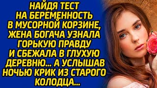 видео: Найдя тест на беременность в мусорной корзине, жена богача узнала горькую правду и сбежала в глухую. картинка: Найдя тест на беременность в мусорной корзине, жена богача узнала горькую правду и сбежала в глухую.