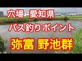 弥富 野池群 愛知県 穴場 バス釣りポイント ブラックバス