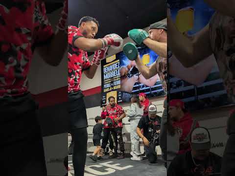 David Benavidez Shows