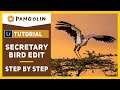 Editing Wildlife Photos In Lightroom. Secretary Bird Image. Step by step.
