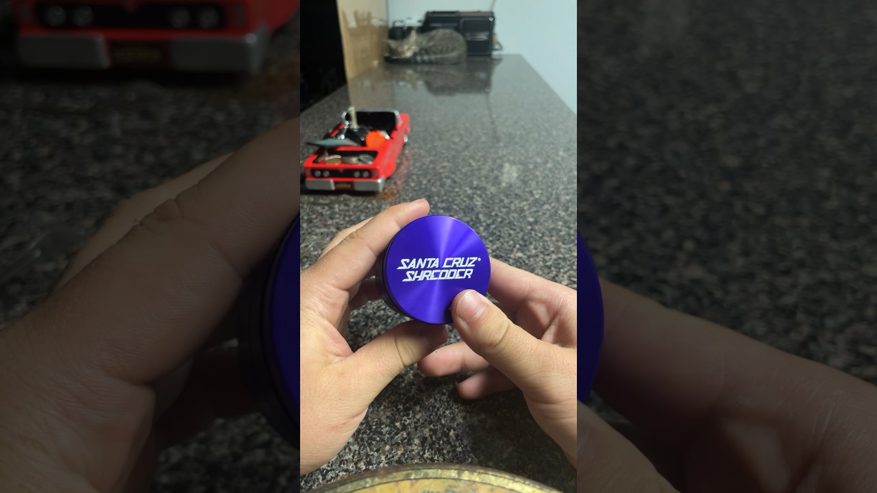 Santa Cruz Shredder short review 