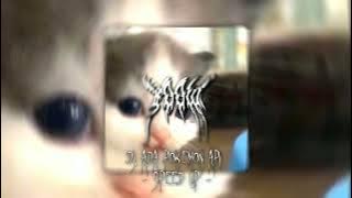 Dj Ada Pokemon Api - Speed Up