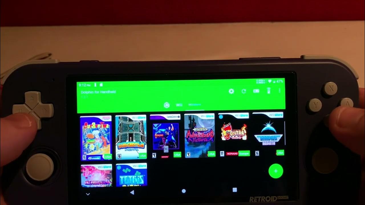 Dolphin emulation controller setting for Wii Ware Retroid pocket 3
