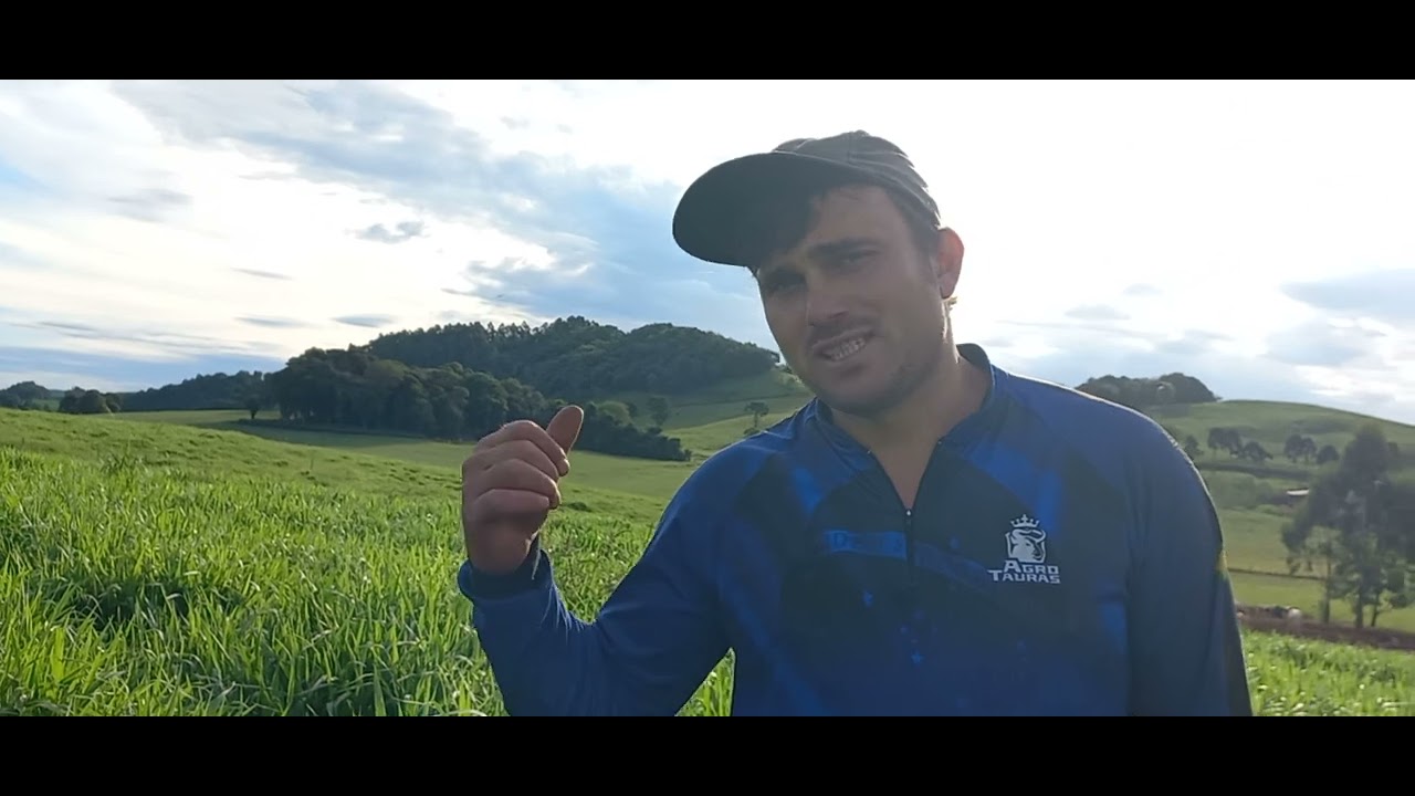 Conversa com produtor sobre a braquiaria Dunamis