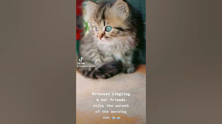 Enjoy the warmth of the morning sun | Lingling & F...