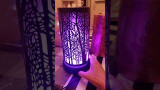 Scentsy Diffusers Part 2