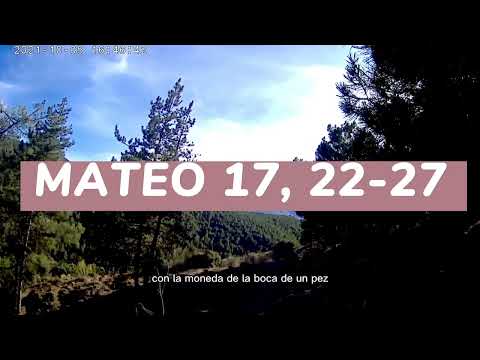 ✴️ EVANGELIO del 14 de AGOSTO 📌 PADRE GUILLERMO SERRA - MATEO 17, 22-27