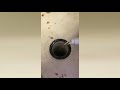 Wow! Watch Drain Punch Knock Out This Clogged Mop Sink and Floor Drain🥊