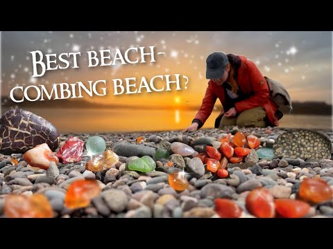 Video: How to Go Beachcombing