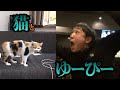 【切り抜き】猫と凶男（ゆーぴー）【釣りよか】