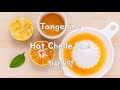 Tangerine - Hot Chelle Rae(가사번역)