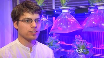 What to Do With an Empty Container Ship? Grow Food