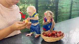 Preci0us Lil Lolo Fast Straight Up To Ask His Mom Taste Salak Fruit First Time With Bro Bill