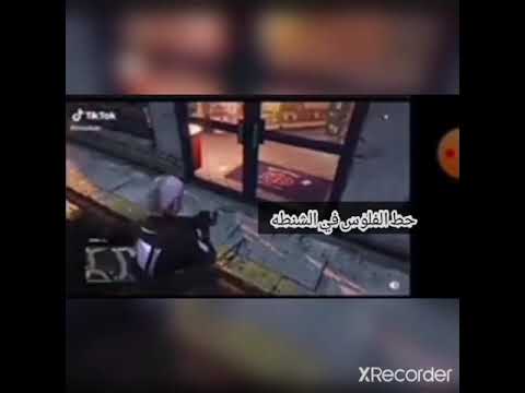 حط الفلوس في الشنطة