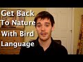 Get back to nature with bird language nature awareness tool for finding harmony with the earth
