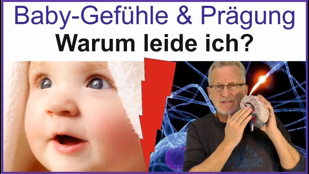 Baby-Prägungszeit: Die Ursache fast aller psychischen Störungen. Das Reiskorngehirn im Baby