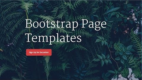 Bootstrap Page Templates- Free HTML Website Templates