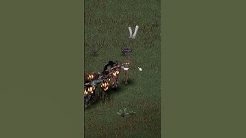 Only YOU Can Prevent Forest Fires! I Project Zomboid #shorts #cdda