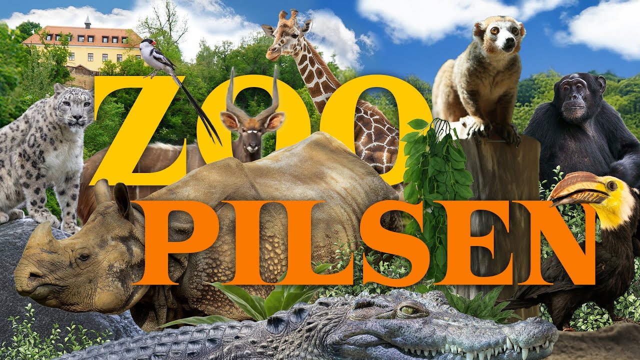 Inside Europe’s Most Species-Rich Zoo! | Pilsen (Plzeň) Zoo Review