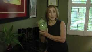 FengShuiSimply_Tip04 - Feng Shui Bagua Map and the symbolic Turtle