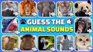 Guess 40 Animals by The Sound 🔊🦁🐼 | Animals Sounds Quiz screenshot 4